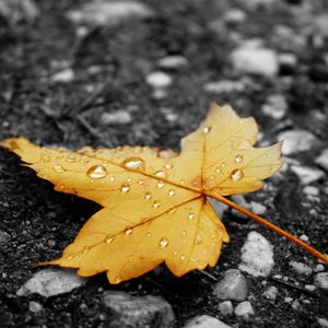 美女按摩偷拍视频一区二区
